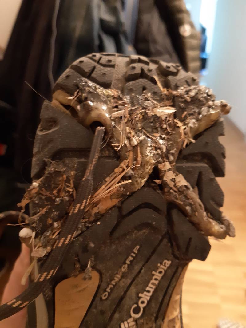 Vue du talon de ma chaussure Columbia avec des branchages et surtout des morceaux de plastique orangé fondus