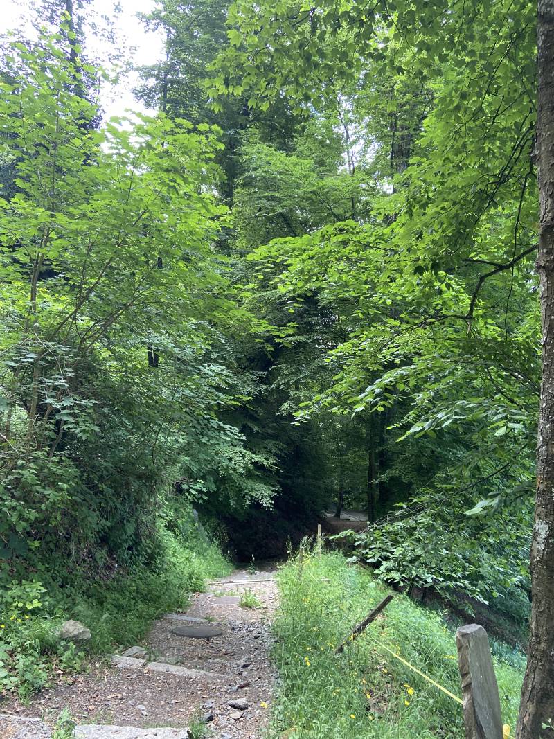 Vue de dessus du chemin de Tremblex, fait de terre et graviers, avec des marches en pierre à chaque mètre