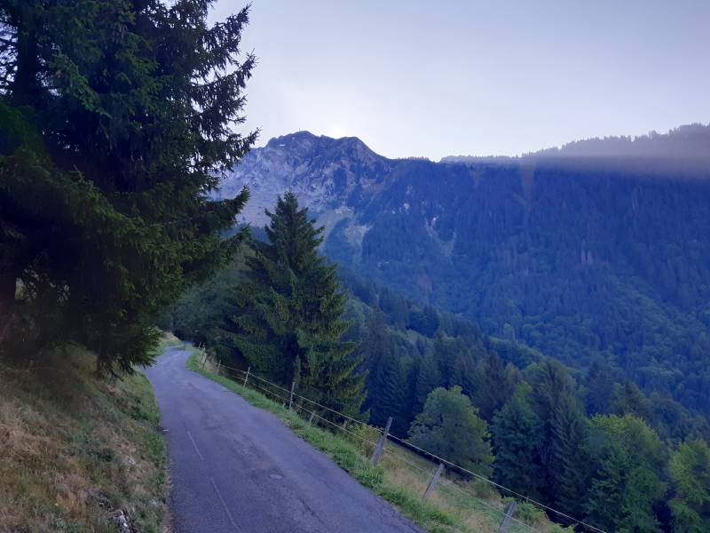 Petite route goudronnée en légère montée, des arbres de chaque côté, avec une vue splendide sur l’autre côté de la vallée