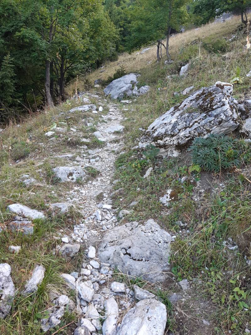Chemin de graviers à travers l’alpage, sur la droite le flanc de la montagne monte à environ 30°