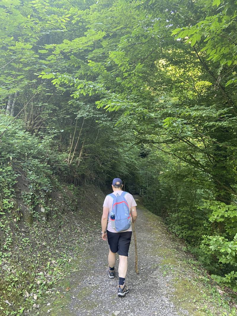 JF Poilprêt, de dos, marchant sur un chemin de pierres au milieu de la forêt.