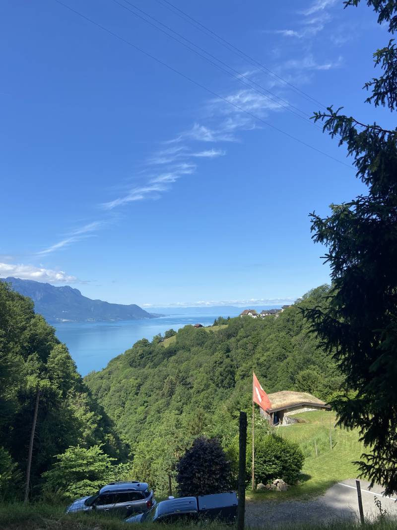 Vue restreinte sur le Léman et sur les Alpes à son bord. Au premier plan, une petite maison et deux voitures sur un chemin. Un poteau avec le drapeau suisse est planté sur le bord du chemin.