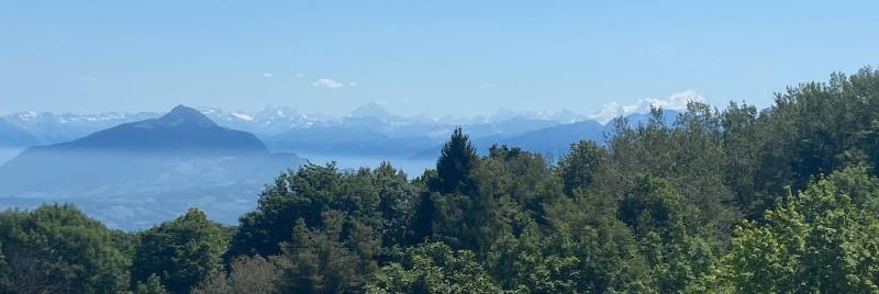 Vue lointaine sur divers sommets des Alpes Françaises, notamment les Dents du Midi, le Môle, les Grandes Jorasses et le Mont Blanc ; la vallée est masquée par les arbres en avant-plan.