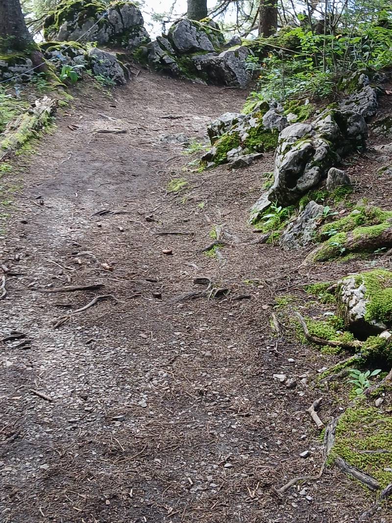 Chemin de terre, avec un peu de graviers et quelques branchages. de chaque coté du chemin se tiennent de gros rochers et quelques arbres.