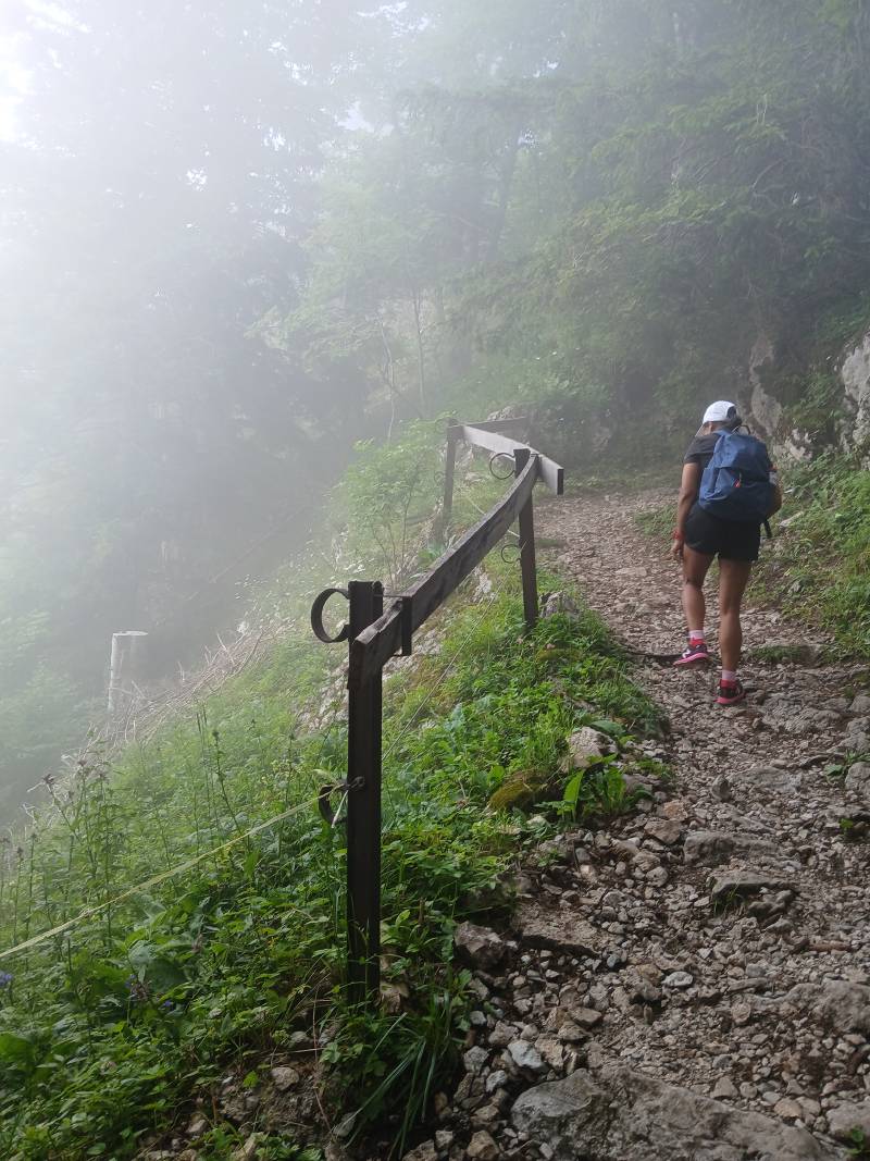 Sur la gauche du chemin, la couche épaisse de nuages commence à obscurcir la vue des arbres et du ciel.