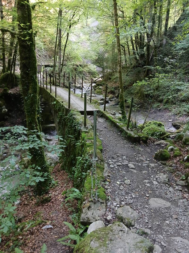 Petit pont en bois au dessus du Chauderon avec des rambardes en fil métallique, on voit derrière la suite du chemin avec des escaliers puis un chemin fait de bois sur le droite