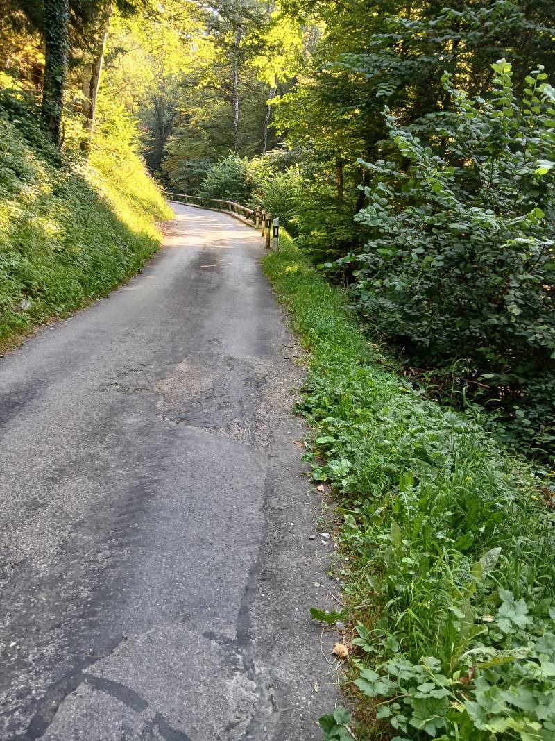 Petite route étroite sur le flanc de la montagne, avec des arbres de chaque côté, avec un petit virage à gauche au bout
