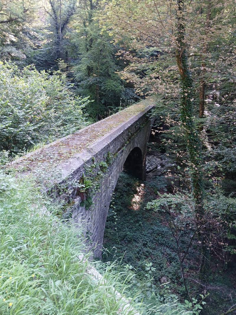 Petit pont à voûtes, étroit; de la mousse a poussé sur la chaussée