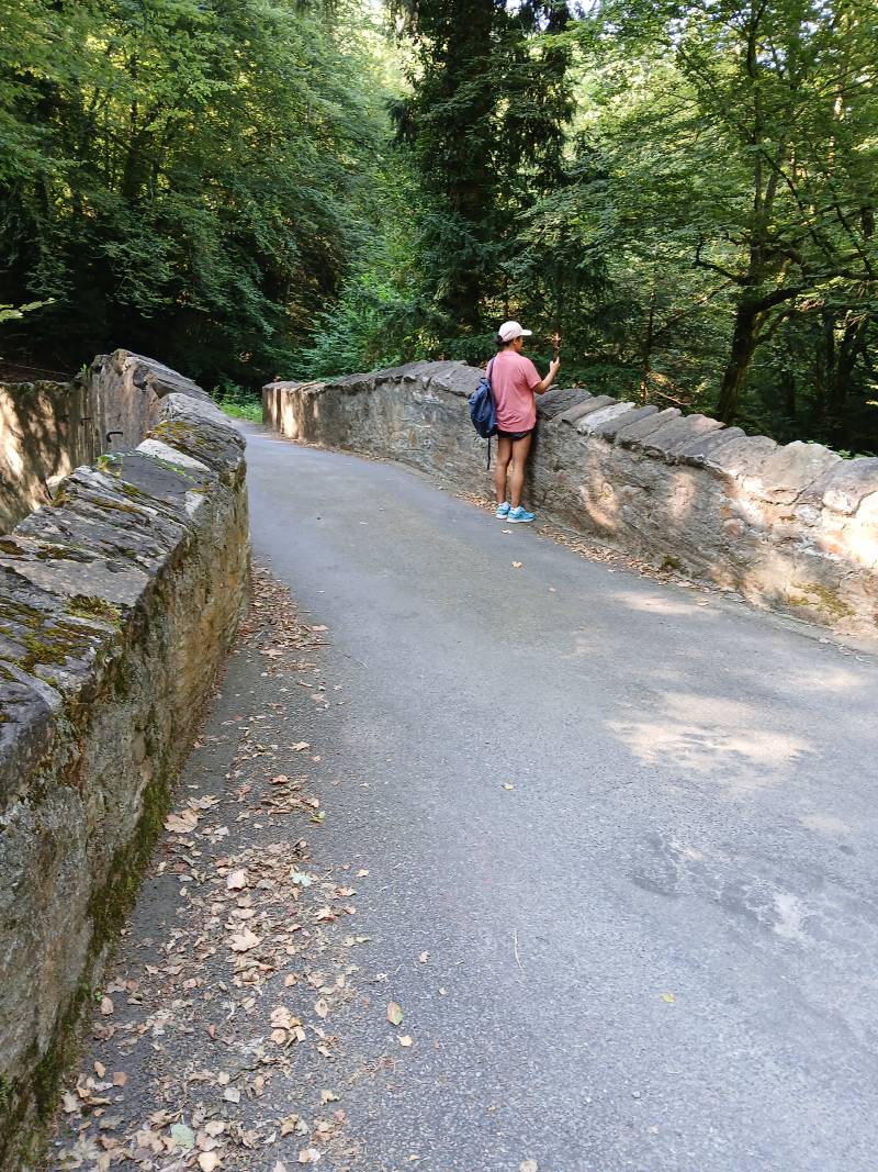 Très joli pont de pierre, donnant sur la forêt