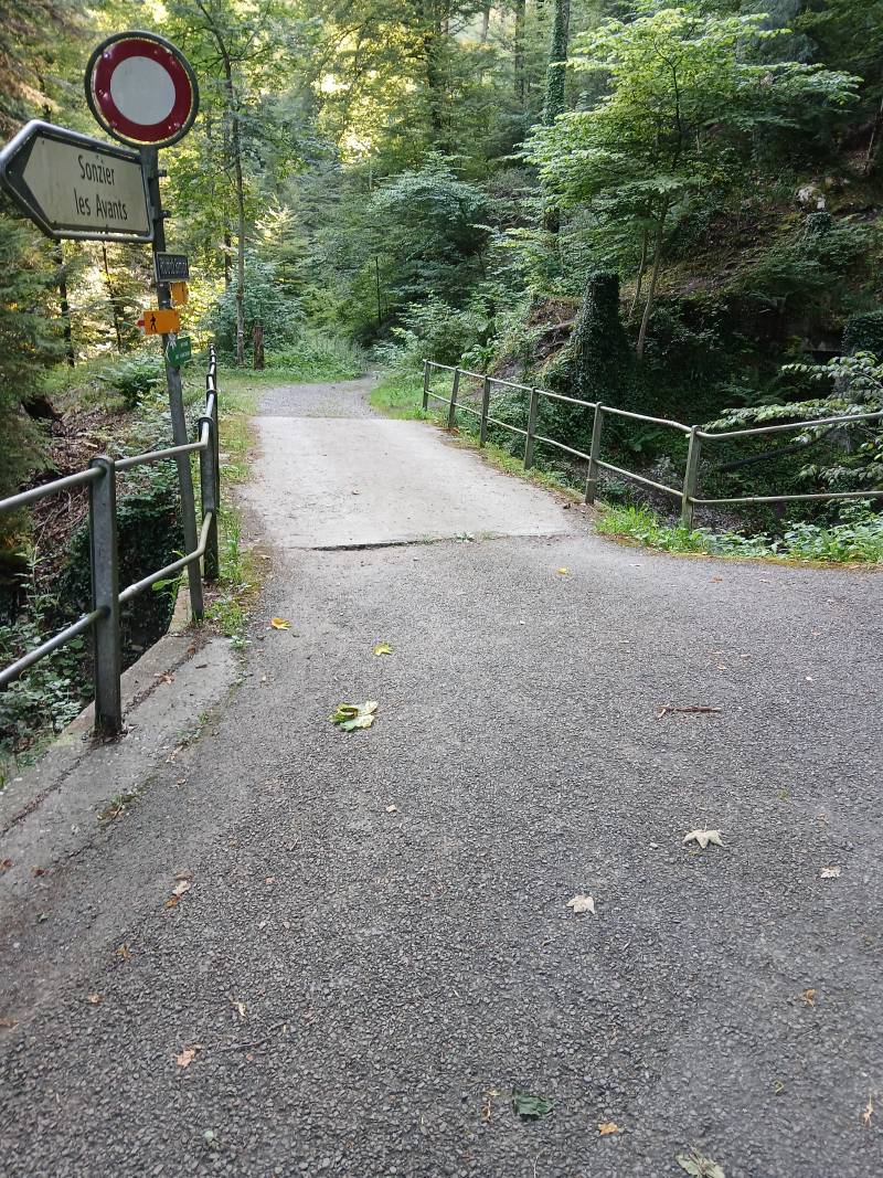 Petit pont avec une dalle en béton et rambardes en métal tubulaire, entouré d’arbres