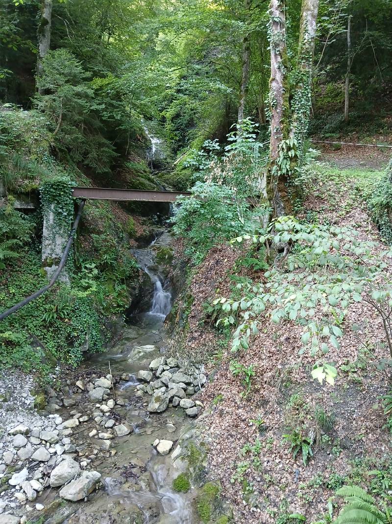 Sur le bord du chemin, se trouve la rivière faisant plusieurs chutes successives, les premières sont à peine visibles, cachées par les arbres