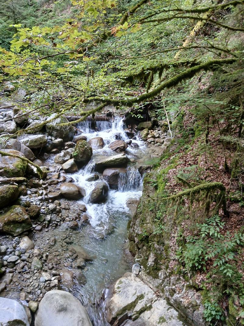 Jolies chutes en escalier sur les rochers, la rivière est recouverte par des branchages