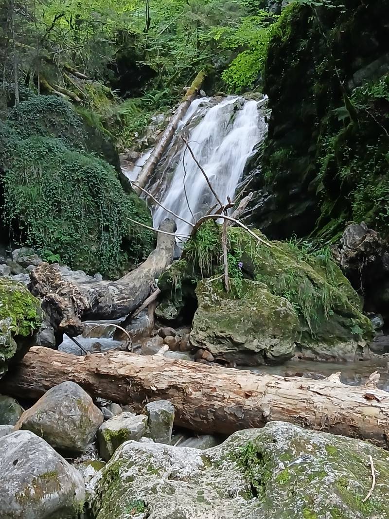 De très belles chutes (environ 4 mètres); deux troncs d’arbres sont au sol.