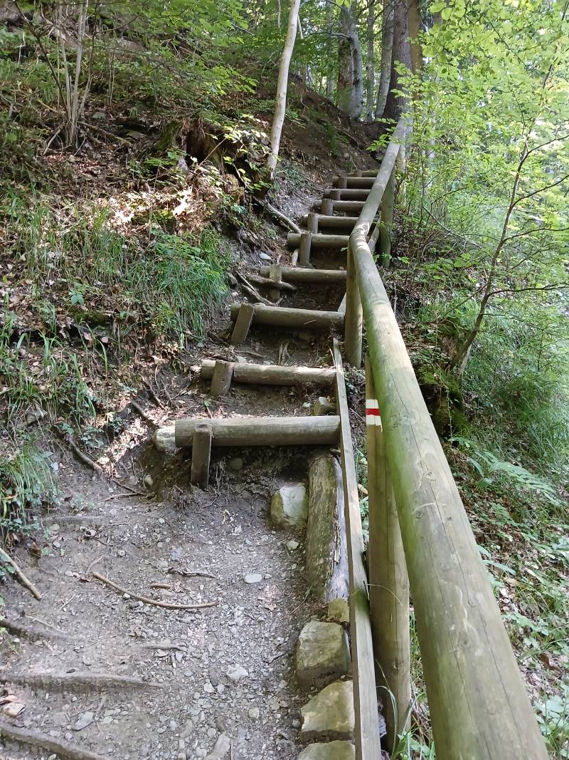 Un escalier entièrement fait de rondins de bois, pour les marches comme pour la balustrade; il y a au moins 10 marches, on voit pas la suite.