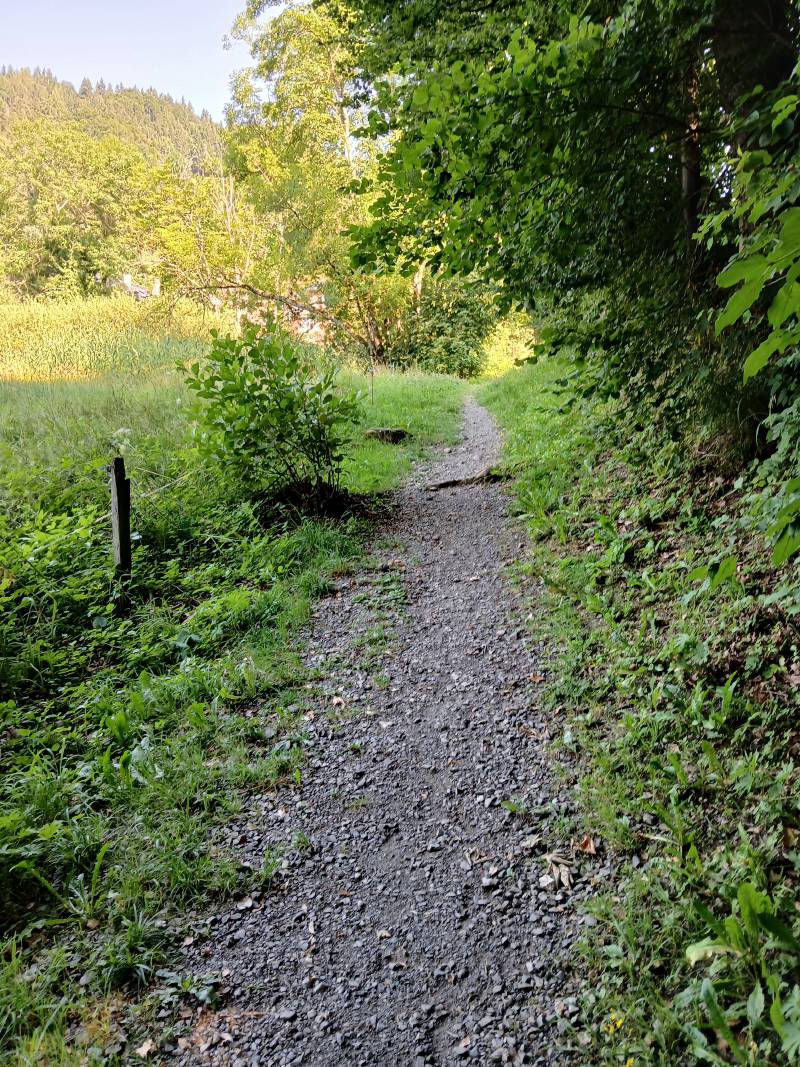 Petit sentier de terre et petits graviers, allant tout droit; un pré sur la gauche et des arbres sur la droite.